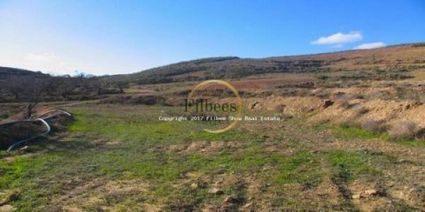 Acheter Terrain 32767 m2 Lorca