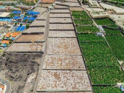 Vente Terrain Puerto-de-santiago  TF en Espagne
