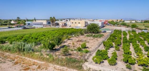 Annonce Vente Terrain Formentera-del-segura