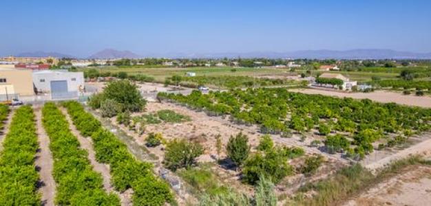 Acheter Terrain 1850 m2 Formentera-del-segura