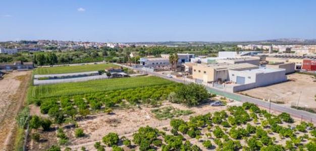 Acheter Terrain Formentera-del-segura rgion ALICANTE