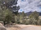 Acheter Terrain Orba rgion ALICANTE