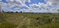 Acheter Terrain 10151 m2 Catral