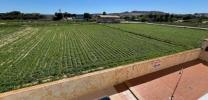 Annonce Vente Appartement Formentera-del-segura