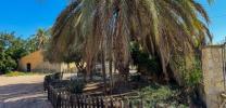 Annonce Vente Maison Crevillente