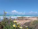 Annonce Vente Terrain Vejer-de-la-frontera