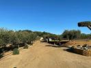 Annonce Vente Maison Molines