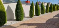 Acheter Appartement Orihuela-costa