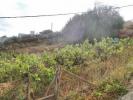 Acheter Terrain 308 m2 Santa-brigida