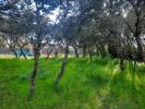 Acheter Terrain 780 m2 El-casar