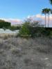 Annonce Vente Terrain Benissa