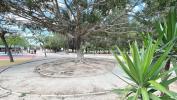 Acheter Appartement 67 m2 Torrevieja