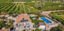 Annonce Vente Maison Albatera