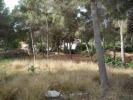 Acheter Terrain Moraira rgion ALICANTE