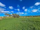 Acheter Maison 903 m2 Llucmajor