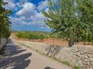 Annonce Vente Terrain Felanitx