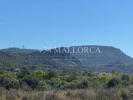 Annonce Vente Terrain Llucmajor