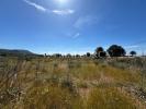 Acheter Terrain Llucmajor rgion ISLAS-BALEARES