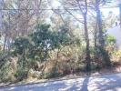 Acheter Terrain 721 m2 Palafrugell