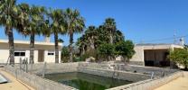 Annonce Vente Maison Crevillente