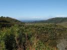 Acheter Terrain 32767 m2 Benahavis
