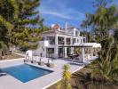 Acheter Maison 445 m2 Benahavis