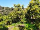 Acheter Terrain Frigiliana rgion MALAGA
