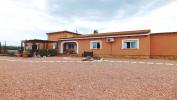 Acheter Maison 239 m2 Dolores