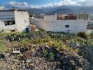 Annonce Vente Terrain Arucas