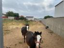 Acheter Terrain 1000 m2 Berben
