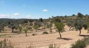 Acheter Terrain 32767 m2 Fabara