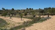 Acheter Terrain Fabara rgion ZARAGOZA