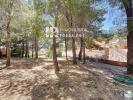 Acheter Maison 573 m2 Pau