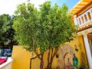 Acheter Maison Calpe rgion ALICANTE