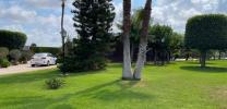 Acheter Maison 387 m2 Guardamar-del-segura