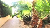 Annonce Vente Appartement Torrevieja