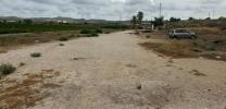 Acheter Local commercial 140 m2 Orihuela