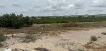 Acheter Local commercial Orihuela rgion ALICANTE