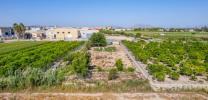 Vente Terrain Formentera-del-segura 03179
