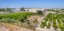 Annonce Vente Terrain Formentera-del-segura