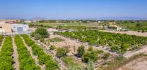 Acheter Terrain 1850 m2 Formentera-del-segura