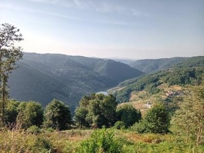 Acheter Maison 555 m2 Asma-san-fiz