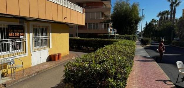 Acheter Local commercial Orihuela-costa rgion ALICANTE