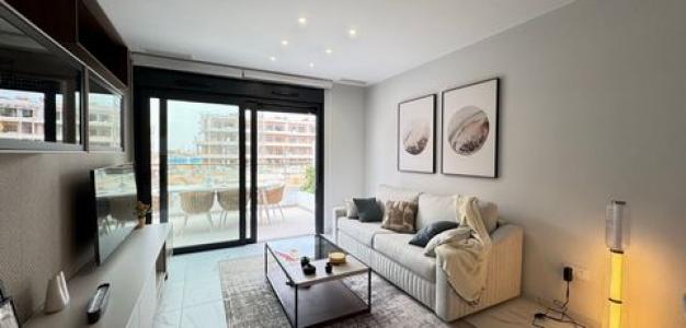 Acheter Appartement Torrevieja rgion ALICANTE