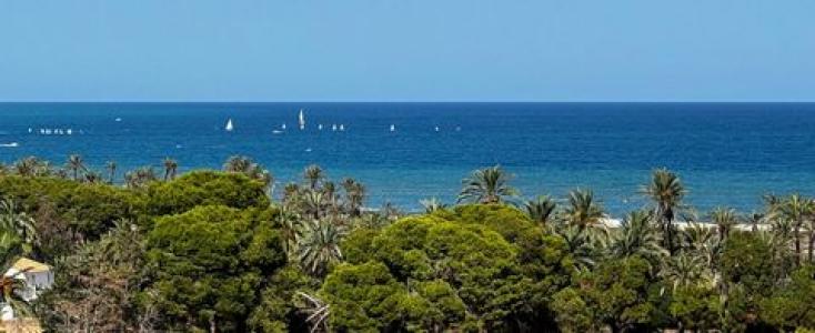 Annonce Vente Appartement Torrevieja