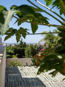 Acheter Appartement 109 m2 Marbella