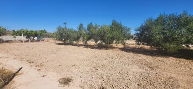 Acheter Maison Aspe rgion ALICANTE