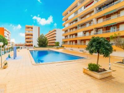 Annonce Vente Appartement Torrevieja