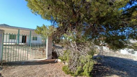Acheter Maison Hondon-de-los-frailes rgion ALICANTE