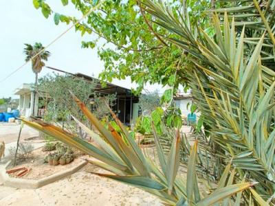 Acheter Maison Hondon-de-los-frailes
